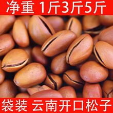 云南手剥开口松子散装批发新货袋装净重500多规格坚果零食年货
