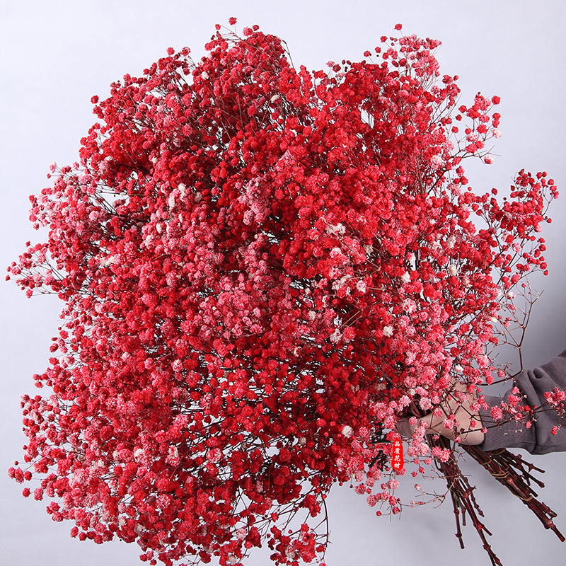 Yongsheng flor estrellado flor seca grande al por mayor regalo de flores de San Valentín Regalo de Cumpleaños gran manojo de ramo de flores reales