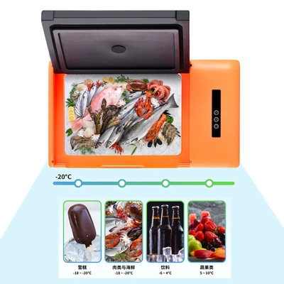 Compressed Car Refrigerator 20 Soyuducular