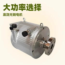 电动车电动机;船发动机配件;特殊电机