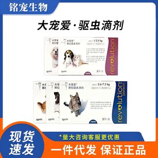 Shuoteng Pampers Cats and Dogs External Flooding Insect Repellent Drops Kittens Puppies Special Cats and Dogs Universal Body Same as Flooding Internal and External