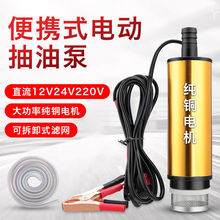 电动抽油泵12V直流柴油加油机24v潜水泵油抽子加油220v自吸油泵厂