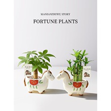 �R�ϰlؔС�R�¿�lؔ��С�����k���҃�������ؔ�Gֲ���R����ֶY