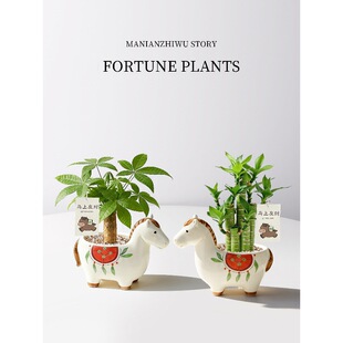 �R�ϰlؔС�R�¿�lؔ��С�����k���҃�������ؔ�Gֲ���R����ֶY