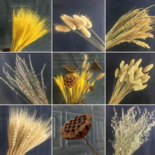 �S�չ������׃��@�������}�h����ɫ����ɻ��͏d������Ȼ�����b�