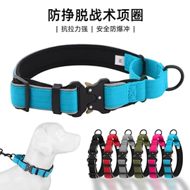 狗狗牵引;宠物项圈;猫猫牵引