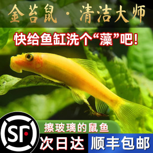 ��̖��̦���坍�~������坍���~�׳��������~�Ꭷ�^�p�~���С�~