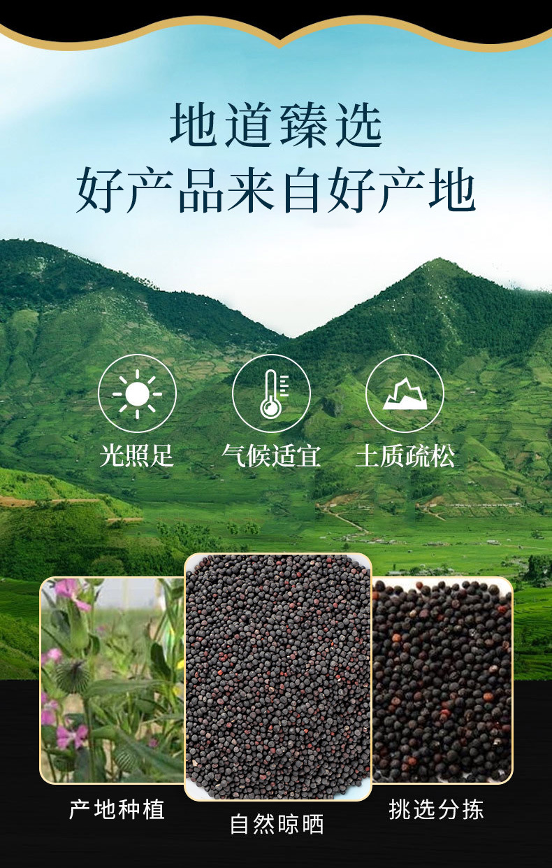 Wang Bu Liu Xing (Vaccaria segetalis) — Dried Cowherb Seeds, Food Herb for Tea & Soup overview