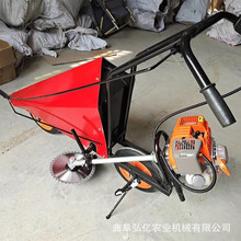 ¿{֥նոC޻UCɽƆиC