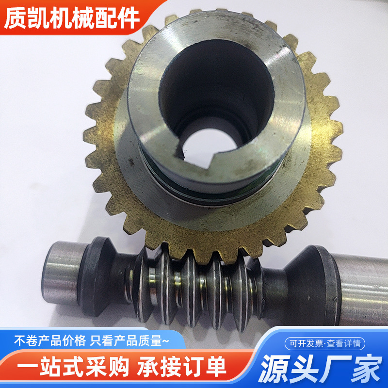 供应 蜗轮蜗杆直流减速电机配件大传动比斜齿黄铜涡轮配套蜗杆