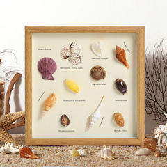木質相框diy貝殼標本裝裱製作展示擺台中空1.5立體掛畫材料包創意