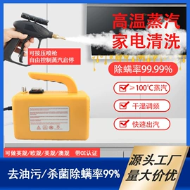 蒸汽清洗机