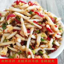 ۶rݲ˹b~ȲؑcFخaĴʳ