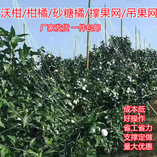 �̸ָ��ٸ̽�ɳɰ���ٽ۵�����W����Nֲ�ι��W�S�ғι�����