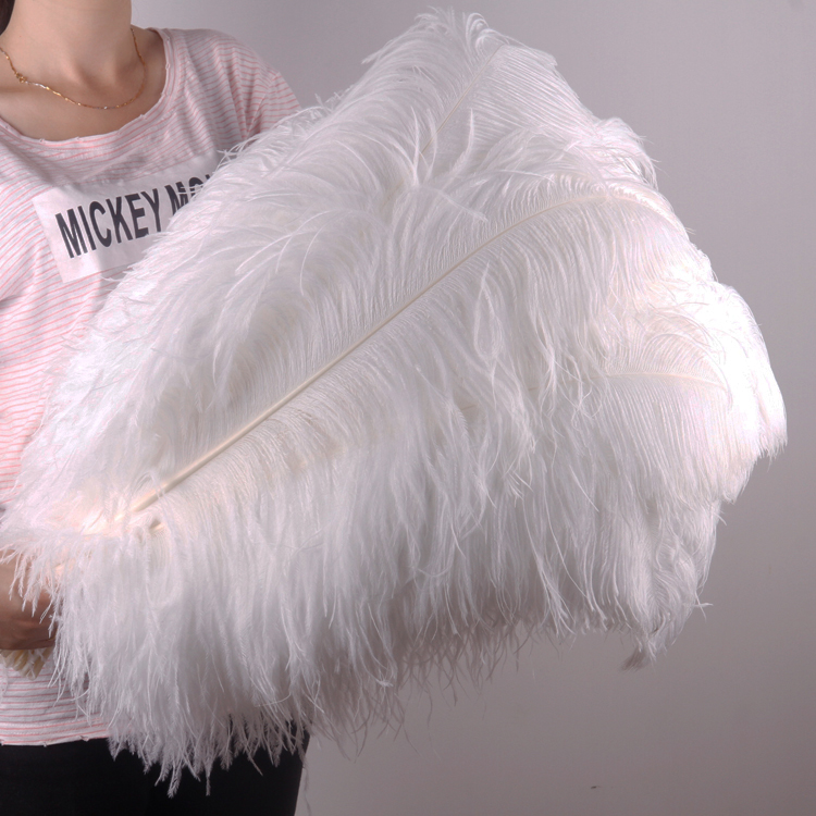 Plumas de avestruz bodas blancas de avestruz guía de plumas accesorios de fotos adornos rojo rosado en línea grandes plumas decoración
