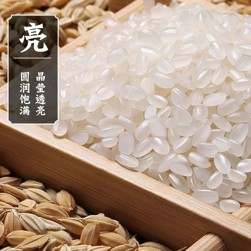 丸粒米 高級東北米 5kg パールライス 20斤 25kg 卸売共同購入ファミリーパック|undefined