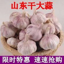 【出口级】新干蒜紫白皮大蒜新鲜大蒜头1/2/3/5/10斤批发价包邮