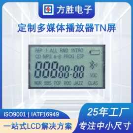 TN断码屏 段码液晶屏模块 LCD黑白显示屏 用于多媒体播放器