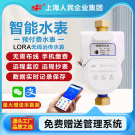 上海人民企业LORA远传水表智能无线远传预付费水表远程抄表出租房