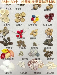 ?�����������������������ɹ���֦���~ؐ���׃��@�h���ֹ��˱�