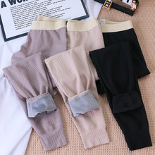 批发男士保暖裤秋冬加厚新款青少年防寒秋裤加绒时尚打底裤男生潮