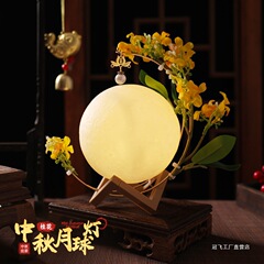 2025新款中秋节灯笼手提发光月球灯幼儿园挂饰彩绘手工diy材料包