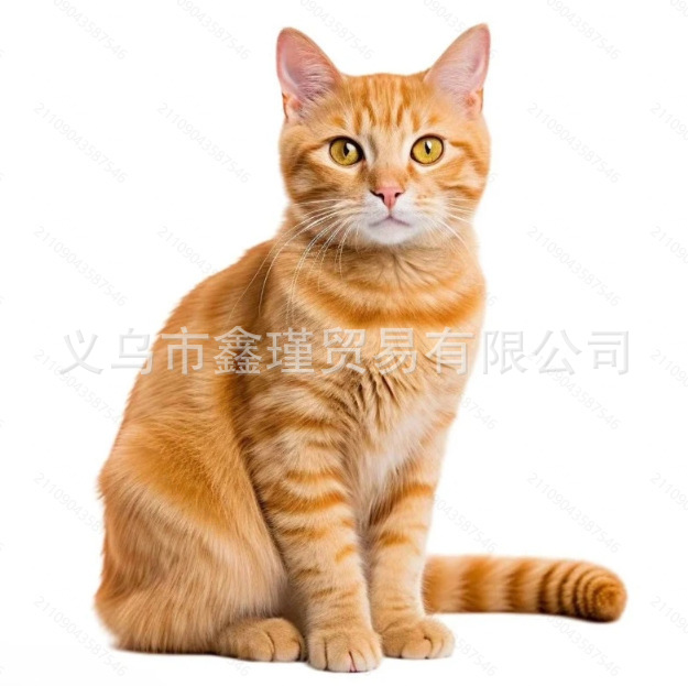 Transfronterizo temu Xiyin acrílico colgante de automóvil naranja gato