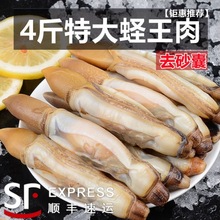 顺丰包邮特大蛏王肉新鲜蛏子肉鲜剥冷冻竹蛏肉海鲜水产批发