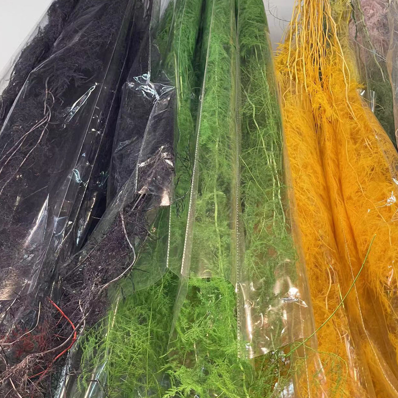 天然植物永生文竹家居DIY墙面装饰婚礼布置浮游瓶干花文竹花材