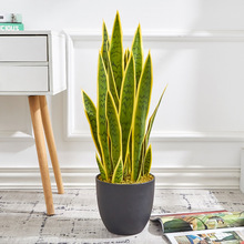 70cm Ƥm ֲ͏dҕb̲҃[羳