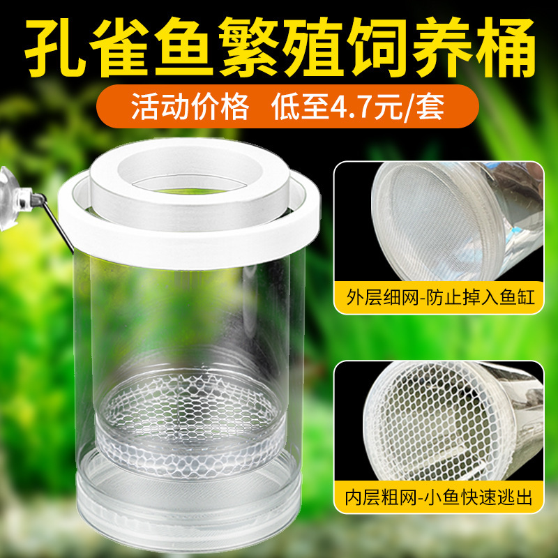 Suspension Incubation Box for Guppies, Zebra Fish, Bettas, Female Fish, Multifunctional Small Fish Fry Transparent Breeding Isolation Box