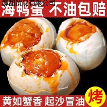 ���]�����͏V���������t�����쿾���������������������伴ʳ