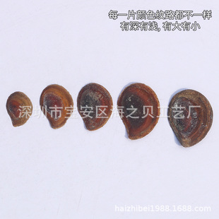 �����ϸ����ș�ú����w�݅�500g�ŷ����y���㌣����Ȼ��������l