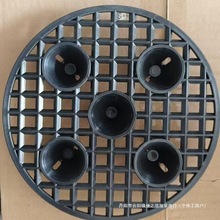 ظõױP݆̥b׉|W͸ʽ