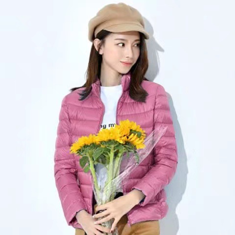 Chaqueta Corta de Algodón para Mujer Transfronteriza 2024, Estilo Coreano Ajustado, Modelo Delgado, Capa de Algodón Lluvia de Seda, con Capucha, Mayorista