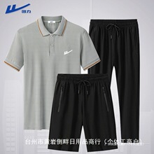 �������b�ļ��������b�б��z���e�\���ٸ��·��IT��POLO��������
