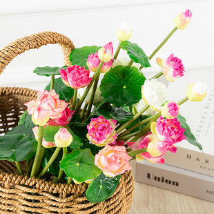 ����С�ɻ����������bGֲ�����Ҿӿ͏d�zӰ���߰���Сɏ���b�
