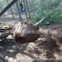 两用便捷园林手提起苗机