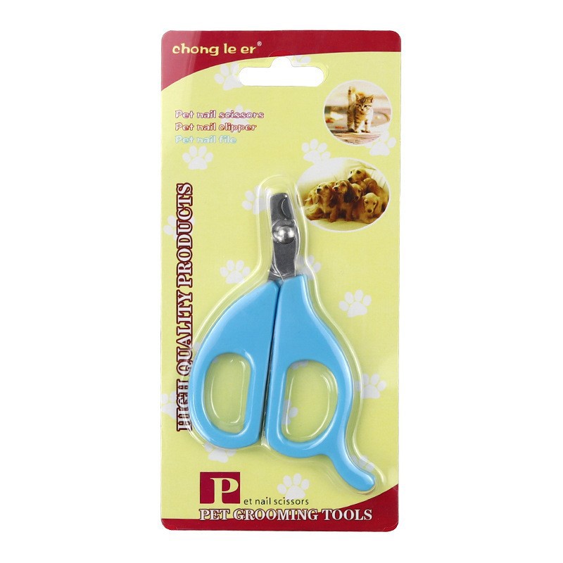 파란색 종이 카드