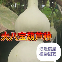 ���ͺ��J�N�Ӱˌ����J�ش��^�p�Ϲ����N���ļ�ͥԺ�̨�������ٷN