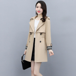 �L������Ů���L���2025�n�挒���@�ݹ��b���e����