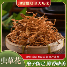 虫草花批发餐饮煲汤食材火锅配料货蛹虫草金草花产地发货一件代发