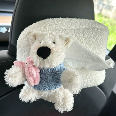 aesthetic car tissue bag — Car tissue box/set