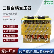 定制款60KVA测试电源专用低频380V转220V200V三相自耦干式变压器