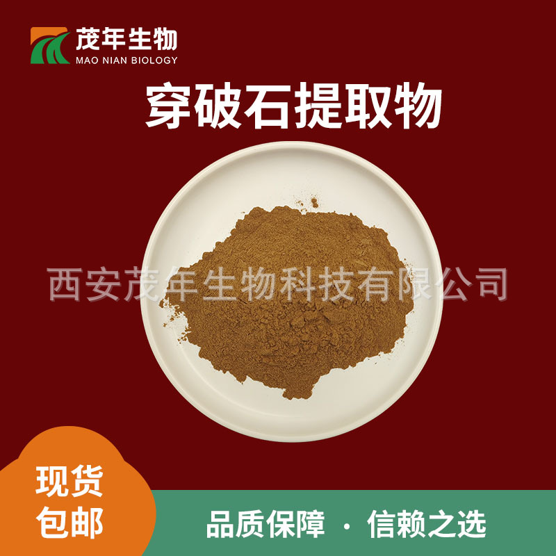 穿破石提取物 30:1 高比例穿破石粉 现货水溶1kg起订  包邮