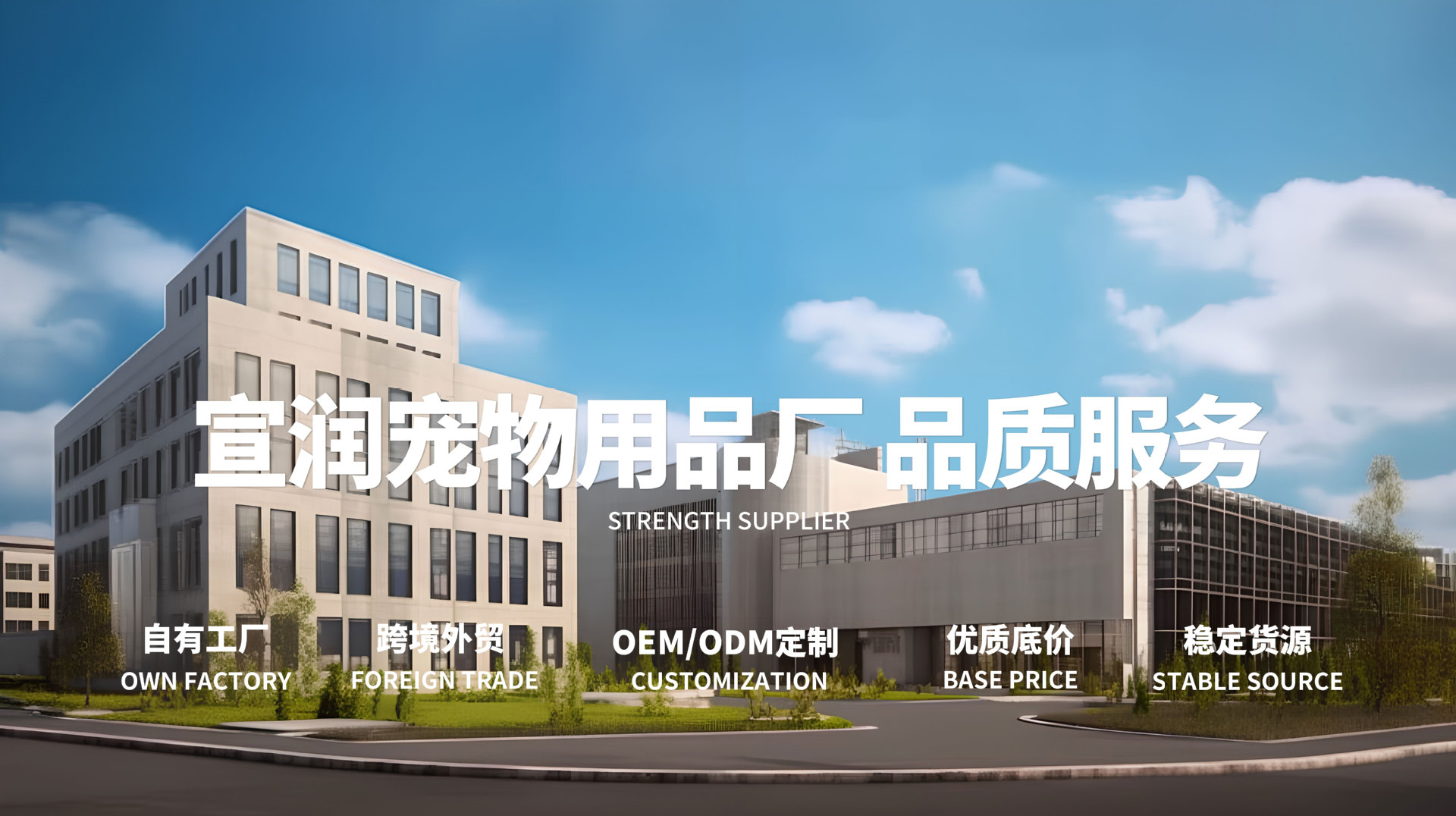 宣润banner