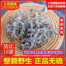秦岭整颗茵陈500g克三月茵陈新鲜绵茵陈干货白蒿茶茵陈茶批发精品