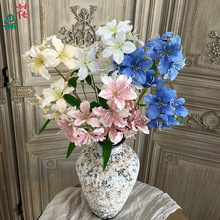 10�^�ٺ� ��z���� �����Y�����b廨���� ��̨�����[�żٻ�