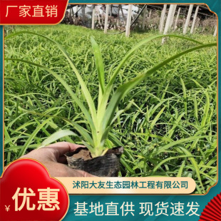 ����ݻ������l �Ԯa���N  Ʒ�N�Rȫ���^�쾰���̾G����