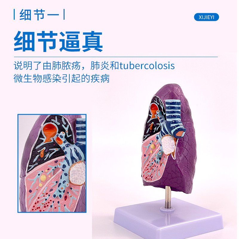 �������ܺͷ� �ν��ʲ�����ģ�� �����߷����� �ڿƺ���ϵͳģ��